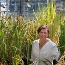 Pam Ronald stands in front of tall rice plants.