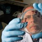 A man with gloves looks at petri dish
