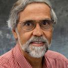 Photo: R. Paul Singh