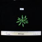 Experiments with Arabidopsis plants like this six-week-old could help shape future IVF treatments. 