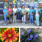 Photos (3): Arboretum volunteers in front of "Nature's Gallery"; close-ups of Ruellia tweediana "Katie" and Gaillardia X grandiflora "Arizona Sun"