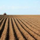 Field being plowed