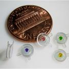 Penny with five plastic buttons with two tabs