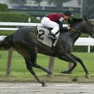Horse and jockey on a racetrack
