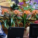 Photo: Cliff Saron, left, gazes at Dalai Lama, with computer screens and flowers