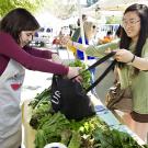 Photo: UC Davis Farmers Market