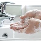 Soapy hands being washed under faucet