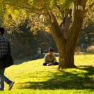 Male walks alone under tree in the Arboretum.