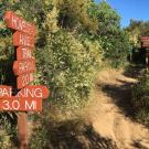 Trail signs at Stebbins Cold Canyon Reserve