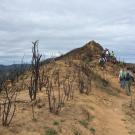 Students in a UC Davis fire ecology class walk along a burned ridge