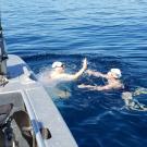 Two swimmers touch handsw together in Lake Tahoe.