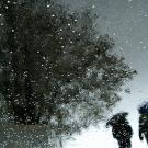 People with umbrellas.