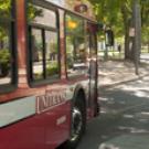 Photo: Unitrans bus on narrow stretch of Hutchison Drive