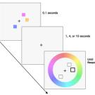 These colored squares and color wheel were used to test the duration and precision of short-term visual memory.