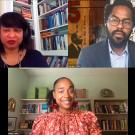 Webinar with three panelists