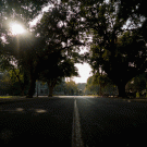 No one on the street, Tuesday morning, Nov. 20, 2018.