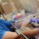 Photo: woman taking sample from a dead bird