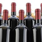 Photo: seven bottles of red wine