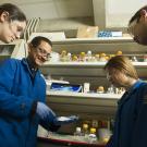 Four people in dark blue labcoats and protective glasses stand in a half-circle in front of a laboratory bench. 