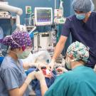 Three people in surgical masks and smocks use tools to work inside the mouth of a patient