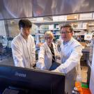 In a laboratory environment, three people gather around a computer monitor, with two of them pointing at the screen.