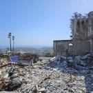 Gray, charred rubble pile among debris, the remnants of a building wall and swimming pool look out over a stand of palm trees and a skyline altered by the LA Fires 