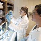 two students doing research at a lab