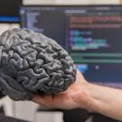 Gray 3D model of a brain being held in a person's outstretched hand