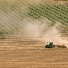 Aerial view of a tractor pulling a plough across a fallowed farm field next to almond orchards in the Central Valley. Valley fever is spreading across the arid west as climate change creates the ideal conditions for the fungus to spread. (Getty)