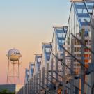 The CORE greenhouses lead back to a UC Davis water tower at sunset