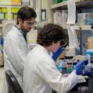 A person with dark curly hair wearing a white lab coat and blue gloves seated at a lab bench looking into a microscope. The the left another person with beard and glasses wearing white lab coat looks over them. 