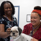 Two women smiling in a veterinary office, one holding a small dog while the other examines it.