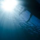 photo taken underwater shows light entering water as shadowy legs dangle from a paddleboard at Lake Tahoe