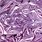 Red cabbage