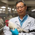Head and shoulders of a man with glasses and short dark hair cradling a white and black rooster. 