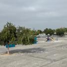 A playground with a play structure on mostly blacktop with one large tree providing some shade