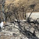 Woman in white protective gear and hat leans over ash remains of house collecting samples in plastic bag. Charred trees stand behind her.