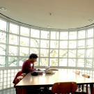 A student in a red shirt studies in front of a wide, sunny window inside UC Davis’ Shields Library. 