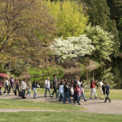 Don't miss the exhibit ‘Community in Bloom’ at Shields Library about the history of the UC Davis arboretum, where a pop-up performance will be happening Wednesday, May 7, from 2-3 p.m. on the Grand Staircase Mezzanine featuring dancers from the Department of Theatre and Dance (courtesy).