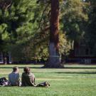 Two students one in a green hoodie and the other in a blue striped button up, sit and face a large tree in the Quad. 