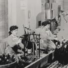 Two women and a man bottle Champagne at Beaulieu Winery in the 1950s