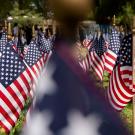 American flags arranged in rows