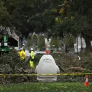 A wide shot of people in construction gear (bright yellow jackets with orange stripes and white safety helmets) surrounding fallen trees and a large white and green truck on a gloomy day. In the center of the scene is the Eye on Mrak Egghead sculpture with an orange safety cone on top, accentuating its one large eye. Caution tape surrounds the area, and the streets and pavement are wet from the previous day's storm.