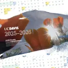 Image shows the 2025-26 UC Davis Poster Calendar, featuring an image of sunlight behind California poppies