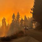 Photo shows fire trucks driving in forest with orange flames visible in background
