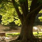 Student sits on bench at Lake Spafford.