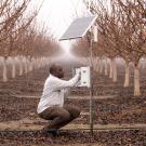 Professor checks orchard watering device