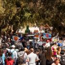A large crowd is seen at the Picnic Day Parade as it nears the Quad.