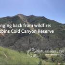 Title card: "Spring Back from Wildfire"