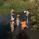 UC Davis researchers photographed from above a creek conduct a stream survey in the water wearing bright orange vests